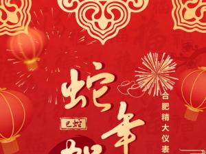 合肥精大儀表2025春節(jié)表彰暨聯(lián)歡會(huì)：回顧精彩，展望