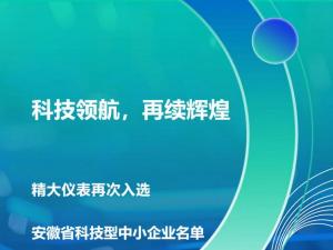 科技領(lǐng)航，再續(xù)輝煌！——合肥精大儀表股份有限公司再次入選安